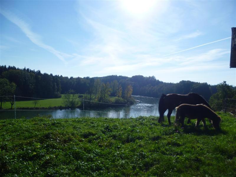 Beim Appertinger Villa Truchtlaching Exteriör bild