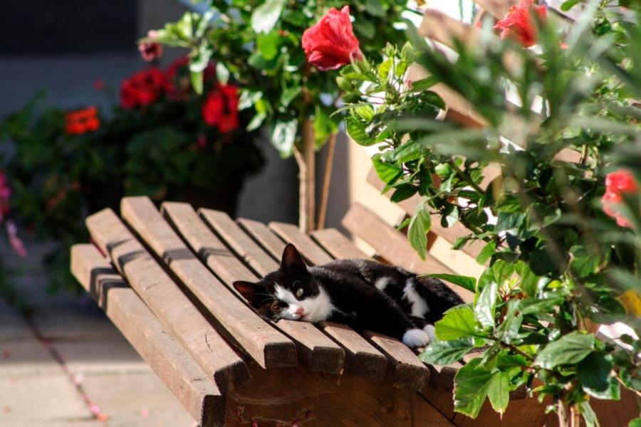 Beim Appertinger Villa Truchtlaching Exteriör bild